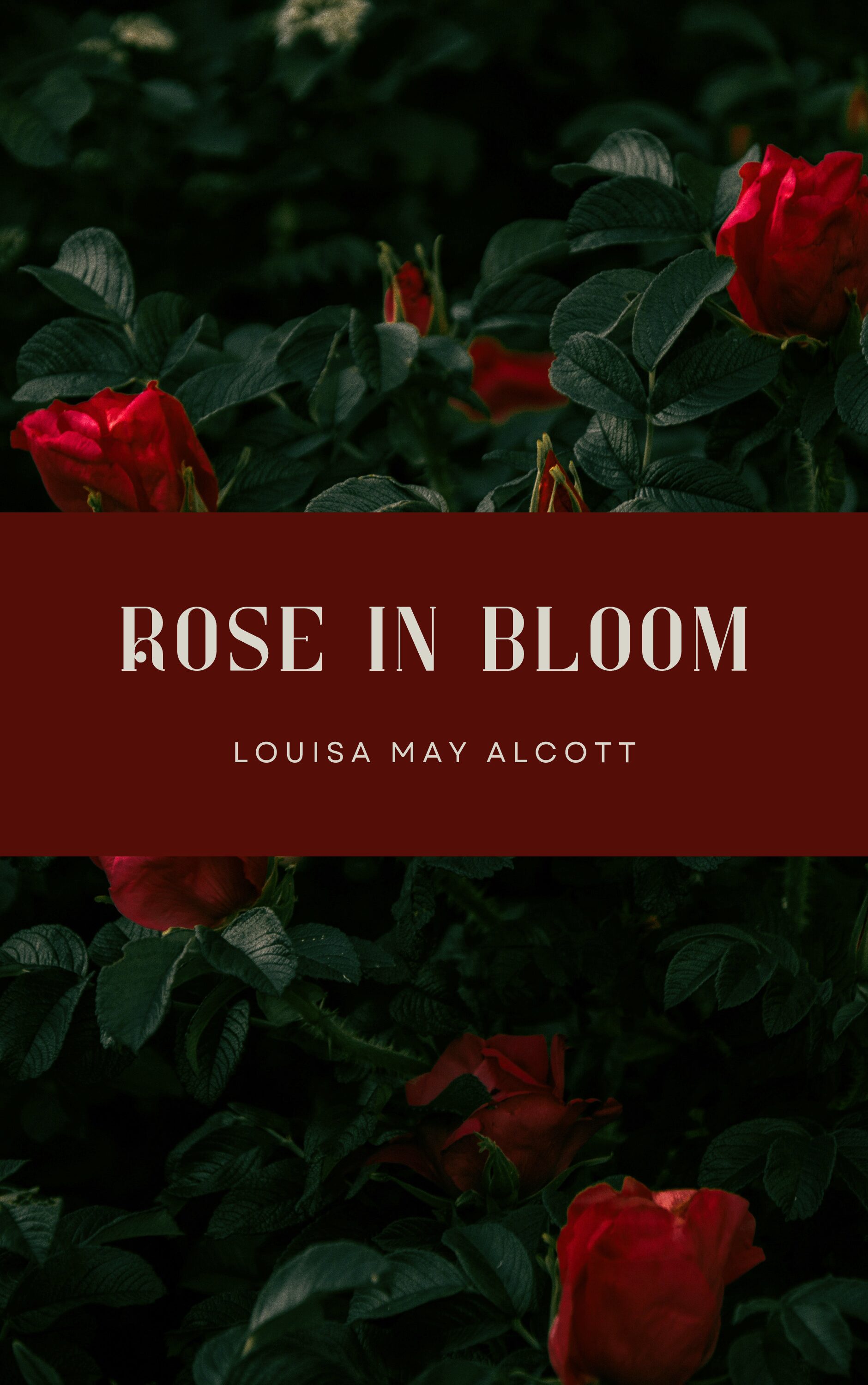 Book Cover: Rose in Bloom